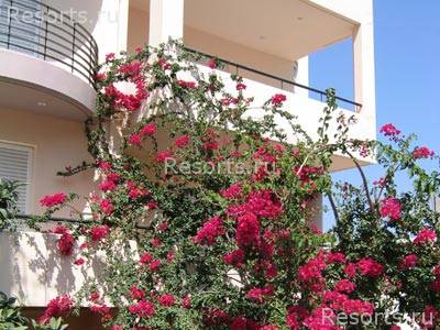 Lamno Hotel 3